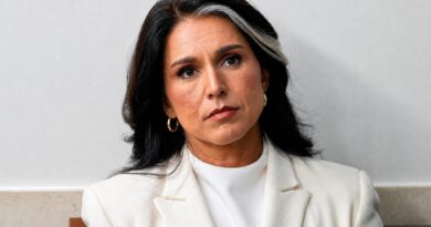 Tulsi Gabbard