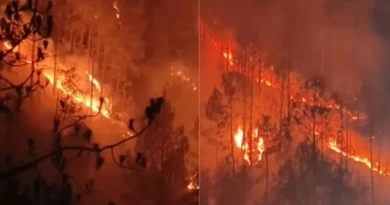 Uttrakhand Fire