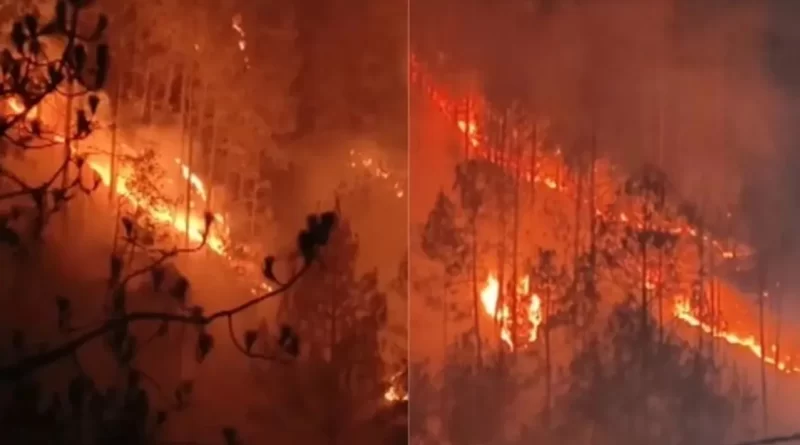 Uttrakhand Fire