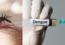 Kerala Health Minister Warns of Possible Dengue Outbreak in Thiruvananthapuram