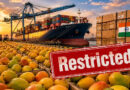After Japan, Nepal imposes restrictions on mango imports from India. 🥭🚫🌏📦