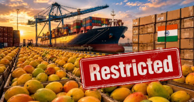 After Japan, Nepal imposes restrictions on mango imports from India. 🥭🚫🌏📦
