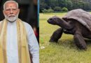 Modi On Foreign Trip