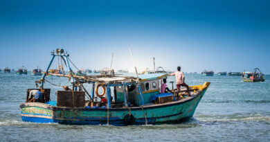 Two-month sea fishing ban lifted; fishermen begin preparations to return to the waters as activity picks up at Talsari Beach and Udaypur Beach. 🎣🚤🌊✨🐟