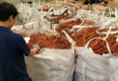 **40 kg of copper wire seized.**