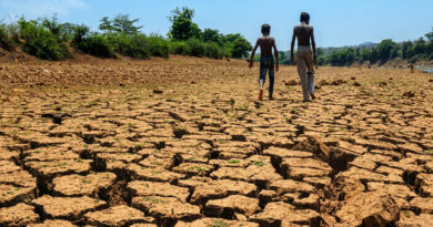Due to lack of rainfall, many fields have dried up; farming work has come to a standstill.
