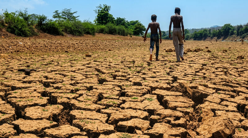 Due to lack of rainfall, many fields have dried up; farming work has come to a standstill.