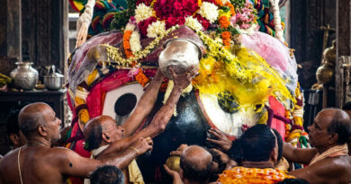 On Anasara Panchami, the sacred Phuluri Tela ritual is performed, during which medicated herbal oil is ceremonially applied to Lord Jagannath as part of the divine healing rituals during the Anasara period.