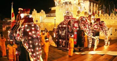 Tight Security as Sri Lanka Revives Key Ritual at Centuries-Old Hindu Festival