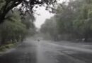 Delhi Receives Light to Moderate Showers as Monsoon Activity Intensifies