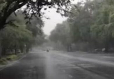 Delhi Receives Light to Moderate Showers as Monsoon Activity Intensifies