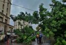 Mumbai Gets Brief Rain Respite; Schools, Colleges Shut as Orange Alert Remains in Force