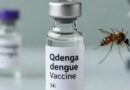 India Gets First Dengue Vaccine as DCGI Approves Takeda’s QDENGA