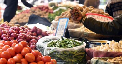 WPI Inflation Rises to 9.87% in June as Food, Mineral Prices Surge