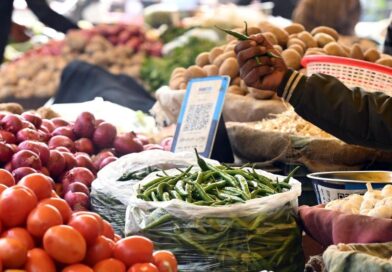 WPI Inflation Rises to 9.87% in June as Food, Mineral Prices Surge