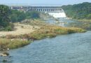 TN Govt to Move Supreme Court to Secure Cauvery Water Share: Minister