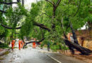 Continuous rainfall caused a tree to fall on a house, damaging the property. The Tahsildar provided tarpaulin sheets to the affected family as immediate relief.