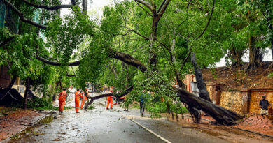 Continuous rainfall caused a tree to fall on a house, damaging the property. The Tahsildar provided tarpaulin sheets to the affected family as immediate relief.