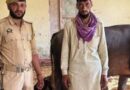 J-K’s Kathua: Police Thwart Cattle Smuggling, Rescue 36 Bovines