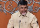 Telugu Must Stay Alive and Flourish for Generations: Andhra CM