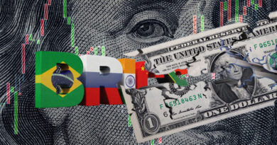 BRICS finance track discusses alternative payments, steers clear of common currency BRICS finance track discusses alternative payments, steers clear of common currency