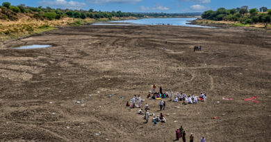 MLA Urges Maharashtra Govt to Declare Drought in Latur MLA Urges Maharashtra Govt to Declare Drought in Latur